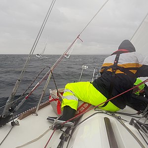 AASW2019; Spinnaker Vorbereitungen